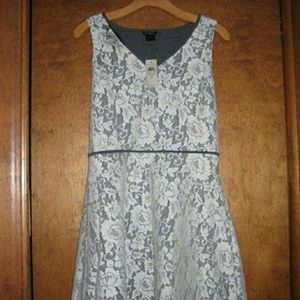 New Ann Taylor dress